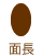 面長